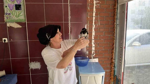 Tokat'ta Yavru Saksağan Kahvaltı Arkadaşı Oldu