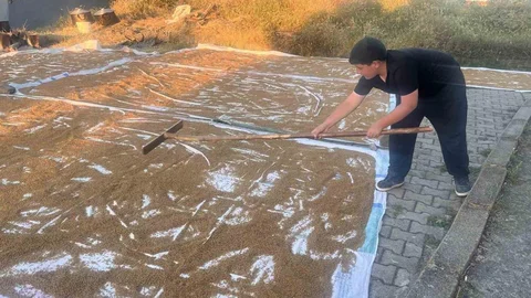Kırşehir Çiçekdağı'nda Bulgur Yapımı Başladı