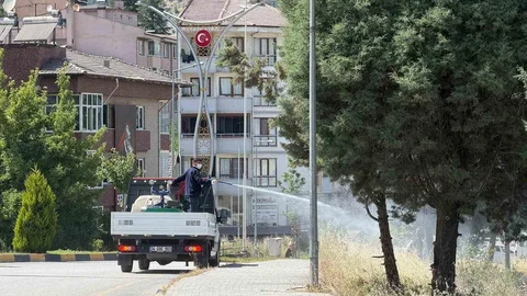 Karabük'te Sinek ve Haşereyle Mücadele Devam Ediyor