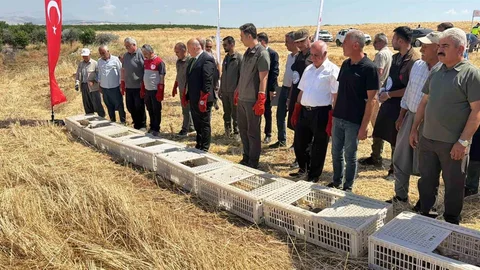 Adıyaman'a Bin Keklik Salındı