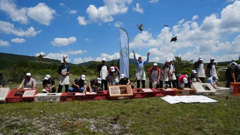 Kastamonu’da 1200 Keklik Doğaya Salındı