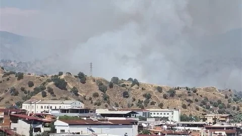 Nazilli'de Zirai Alan Yangını