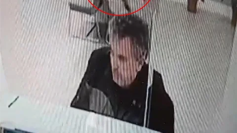 Bolu'da Kedi Düşmesi Olayı