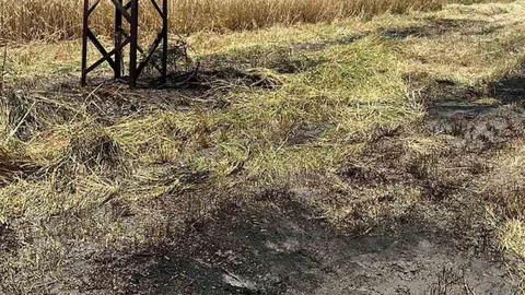 Bilecik'te Anız Yangını Kontrol Altına Alındı