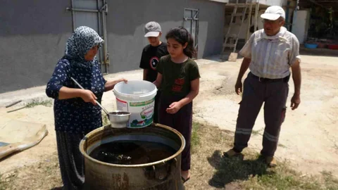 Dut Pekmezi Üretimi Malatya'da Artıyor