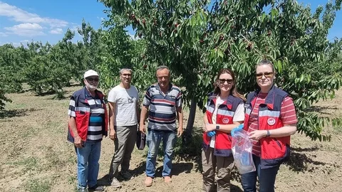 Kütahya’da Kiraz Hasadı Öncesi Denetimler Başladı