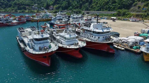 Trabzon'da Orkinos Avı Tamamlandı