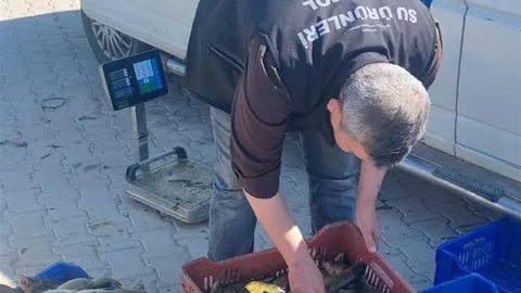 Beyşehir'de Av Denetimleri Artıyor
