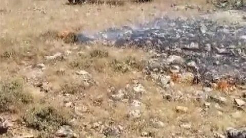 Gercüş'te Yangın Panik Yarattı