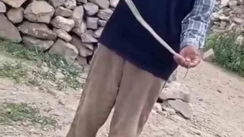 Iğdır'da Yılan Kurtarma Operasyonu