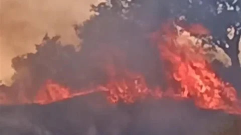 Aydın'da Zirai Alan Yangını Kontrol Altına Alındı
