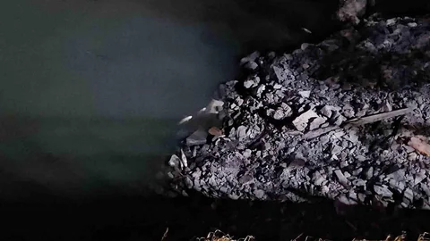Bakırköy'de Toplu Balık Ölümleri Yaşandı