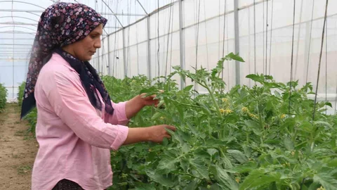 Adana'da Kadınların Başarılı Üretim Hikayesi