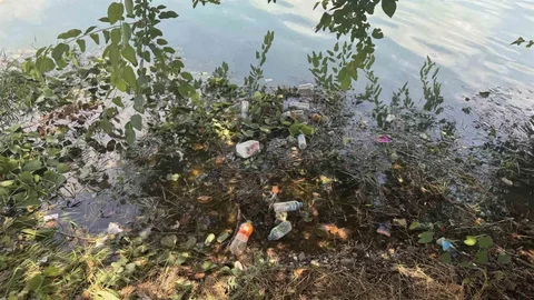 Adana Seyhan Nehri'nde Kirlilik Sorunu