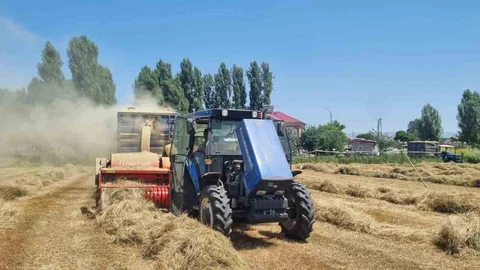 Hasköy'de Çiftçiler Kışlık Yem Hazırlıyor