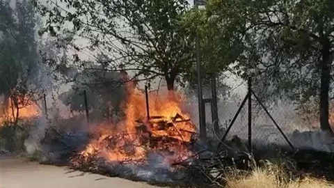 Karadağ Ormanlık Alanında Yangın Çıktı