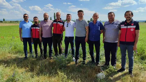 Kütahya'da Çörek Otu Projesi Devam Ediyor