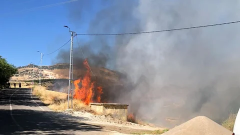 Adıyaman'da Karga Yangına Neden Oldu