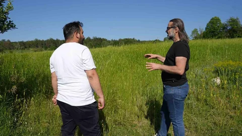 Kastamonu'da Siyezin Ekim Alanı Artıyor