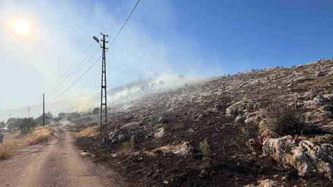 Adıyaman'da Korkutan Anız Yangını