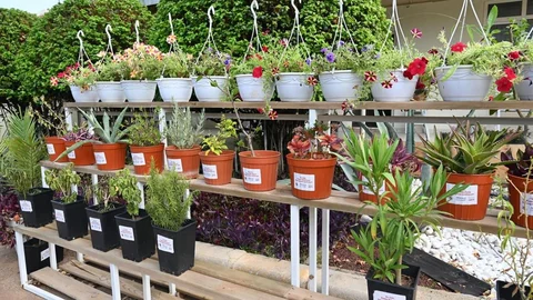 Kepez'de Bahçe Market Açılıyor
