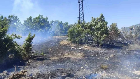 Bingöl'de Orman Yangını Kontrol Altına Alındı