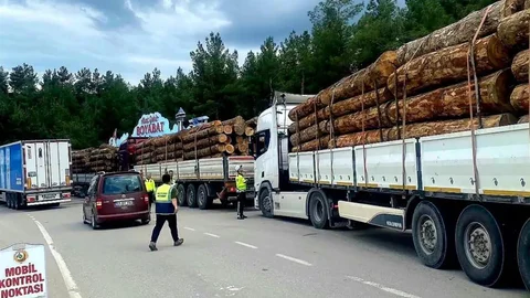 Sinop'ta Orman Emvali Denetimi Yapıldı