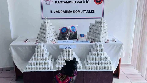 Kastamonu'da Uyuşturucu Operasyonu