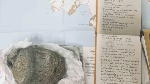Antarktika'da İlk Dinozor Fosili Bulundu