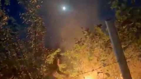 Zonguldak'ta Fındık Bahçelerinde Yangın