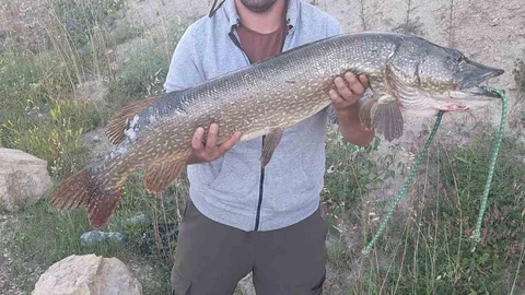 Karabük'te Amatör Balıkçının Büyük Avı
