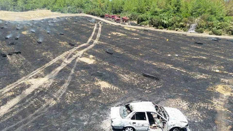 Adana'da Otomobil Yangını Ormana Sıçradı