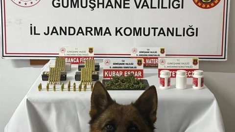 Gümüşhane'de Uyuşturucu Operasyonu Yapıldı
