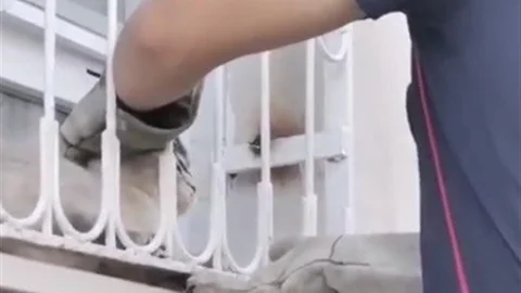 Osmaniye'de Sıkışan Kedi Kurtarıldı