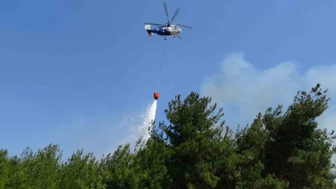 Çanakkale'de Tarım Arazisinde Yangın Kontrol Altında