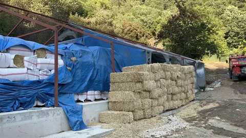 Bursa'da Orman Yangını Kontrol Altında