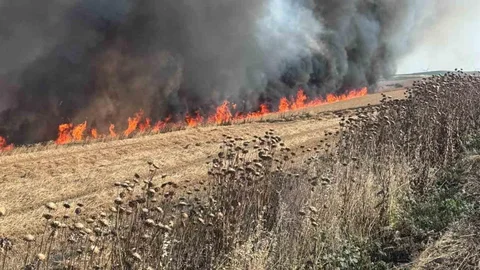 Tekirdağ'da Buğday Tarlası Yangını
