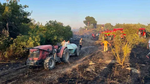 Sakarya'da Yangın Kontrol Altına Alındı