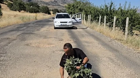 Çermik'te Protesto Yöntemi: Ağaç Dikimi