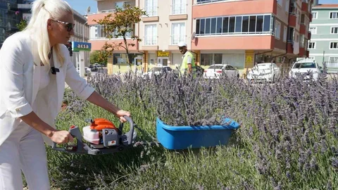 Bilecik ve İstanbul Ödül Aldı