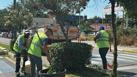 Aydın Efeler'de Yeşil Alan Çalışmaları