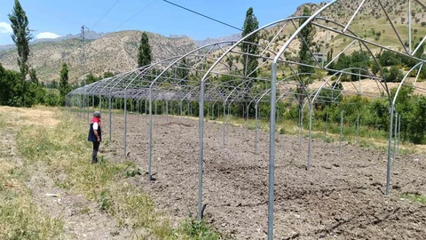 Şırnak’ta Sera Projeleri Denetlendi