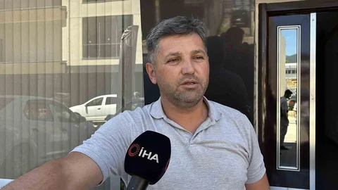 Bolu'da Kedi Bakımı Yetersizliği Sorunu