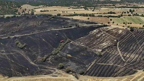 Uşak'ta Yangın 300 Dekar Alanı Etkiledi