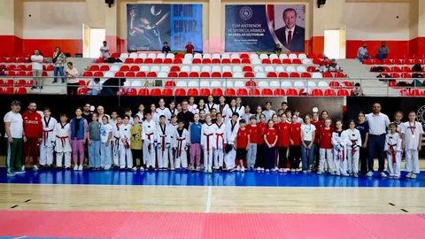 Bilecik'te Minik Taekwondocular Yarıştı