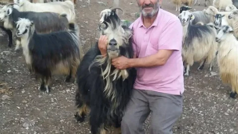 Artvin'de Kaybolan Baba ve Oğul Bulundu