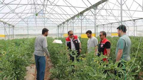 Erzincan'da Seracılık Faaliyetleri İncelendi