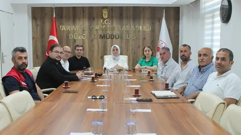 Düzce'nin Tarımsal Ürünlerine Değer Katma Projesi