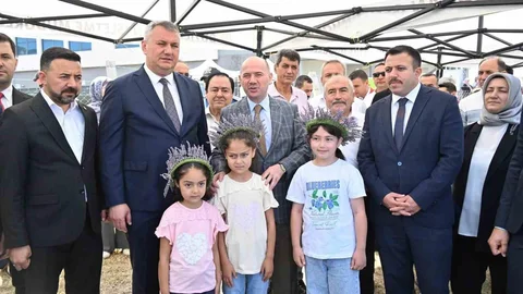 Lavanta Hasadıyla Umut Dolu Günler
