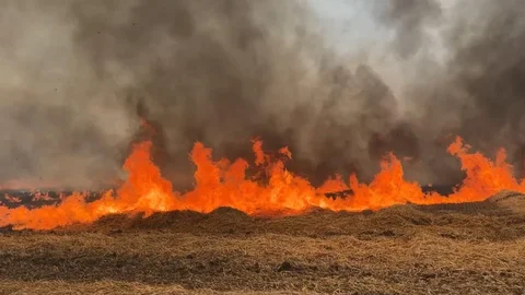 Edirne'de Tarla Yangını Kontrol Altına Alındı